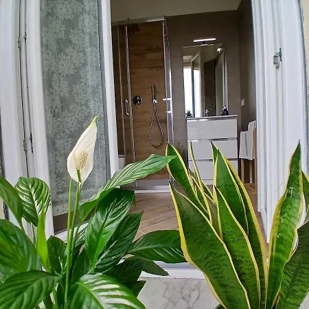 Welcome To Dagoma - With Comfort Apartment